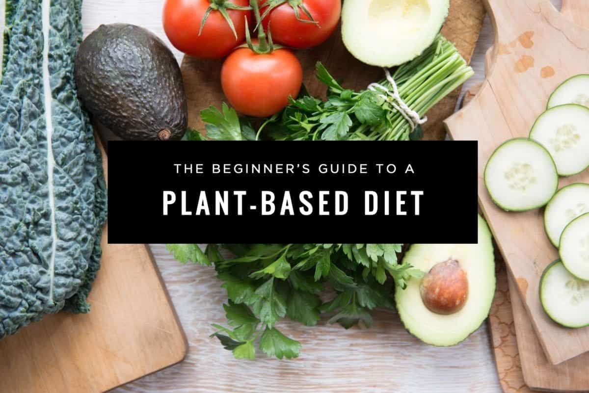 100 what is whole food plant based diet 10 ways to implement a whole foods plant based 100 what is whole food plant based diet 10 ways to implement a whole foods plant based